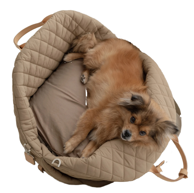 what is a dog bag